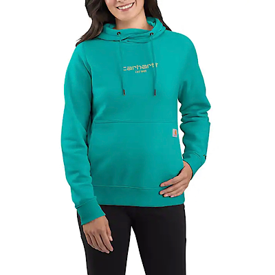 Carhartt 105573 Force® RF Lightweight Graphic Hoodie - Deakin Industries
