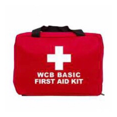 Basic First Aid Kit with Soft Case