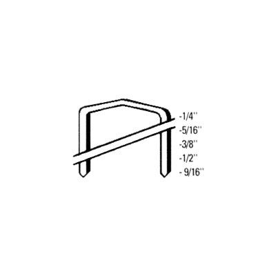 BOSTITCH Staples /box 3/8  5000 - Deakin Industries