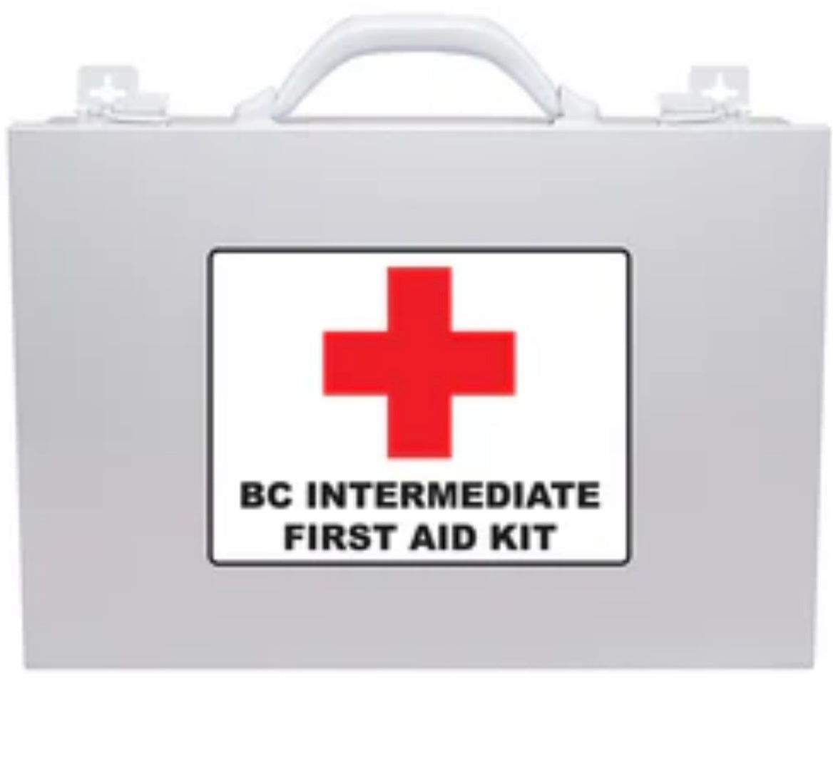 BC Intermediate First Aid Kit with Metal Case (Based on CSA Z1220 TYPE ...