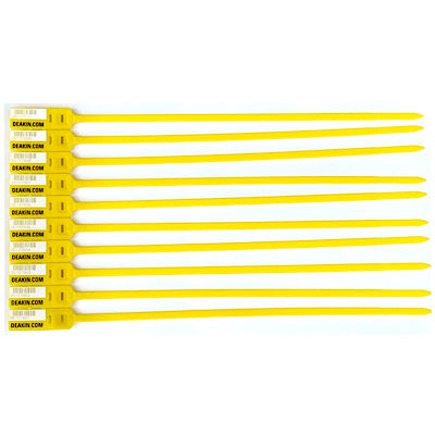 DEAKIN Numbered Locking Security Ties /100 - Deakin Industries